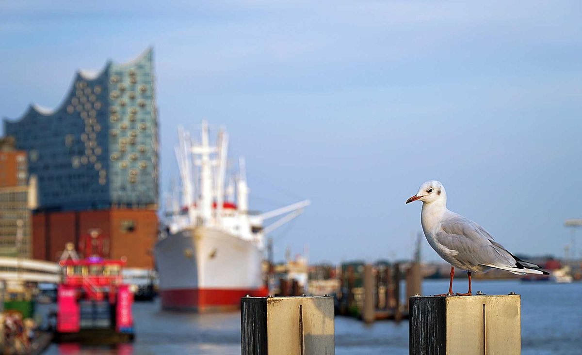 Hamburg Stadtansicht